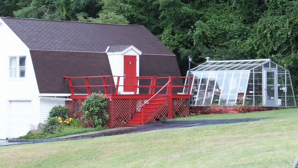 BBQ/피크닉 공간