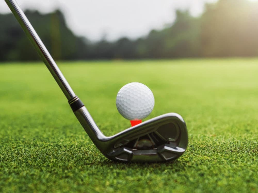 골프