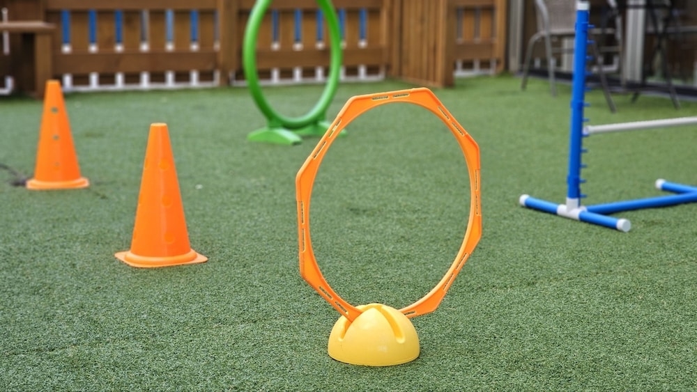 반려동물 동반 편의 시설