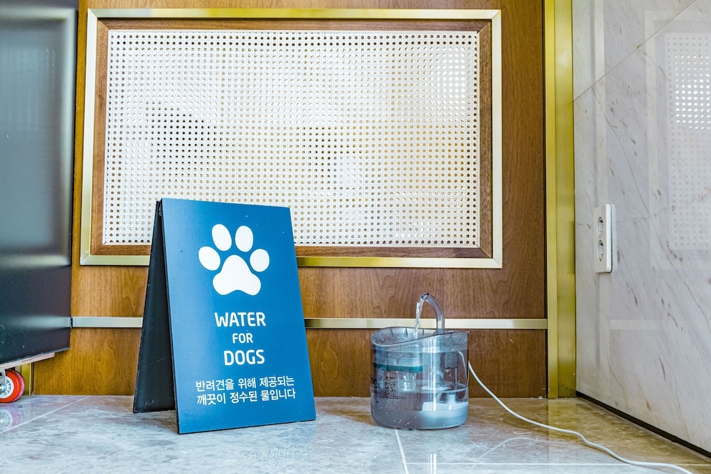반려동물 동반 편의 시설