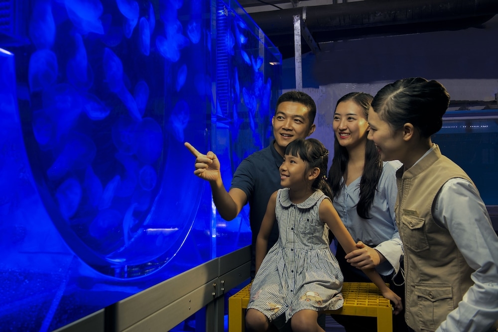 어린이 즐길거리