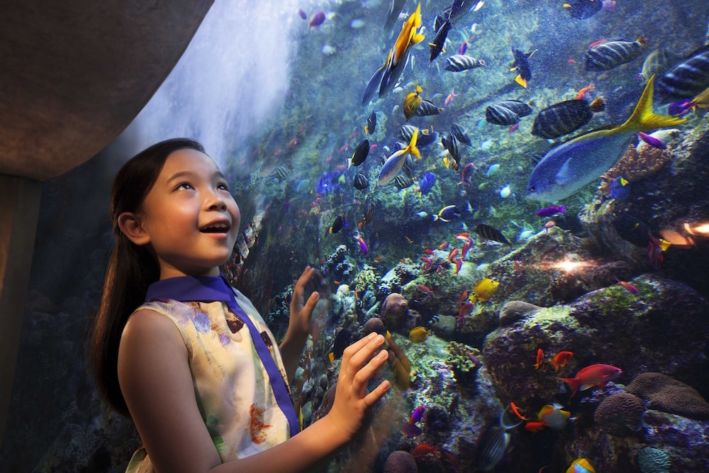 어린이 놀이 공간 - 실내