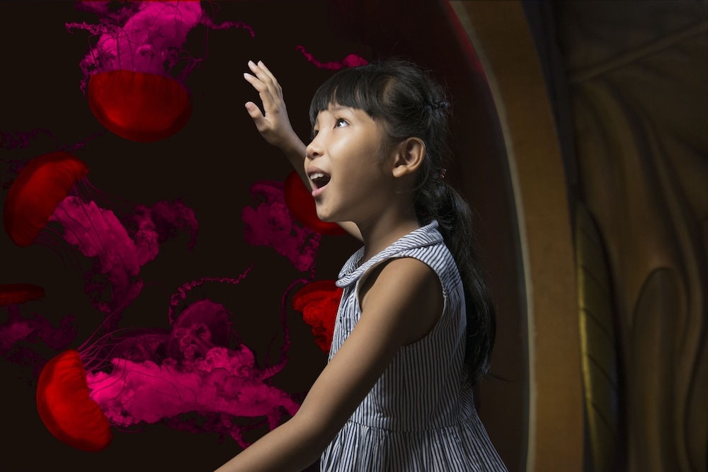 어린이 놀이 공간 - 실내