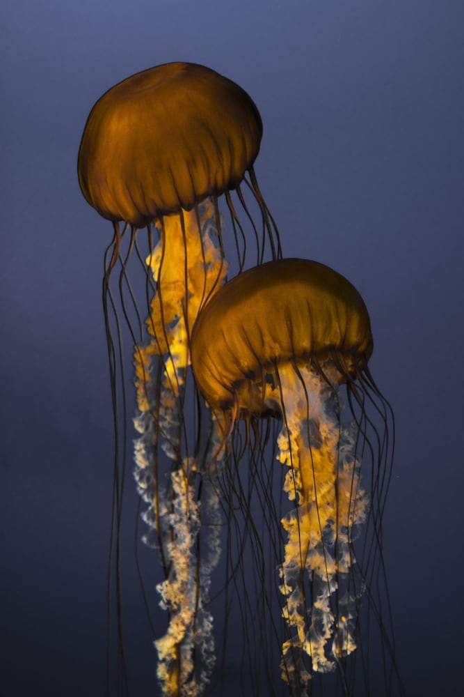 숙박 시설의 전망