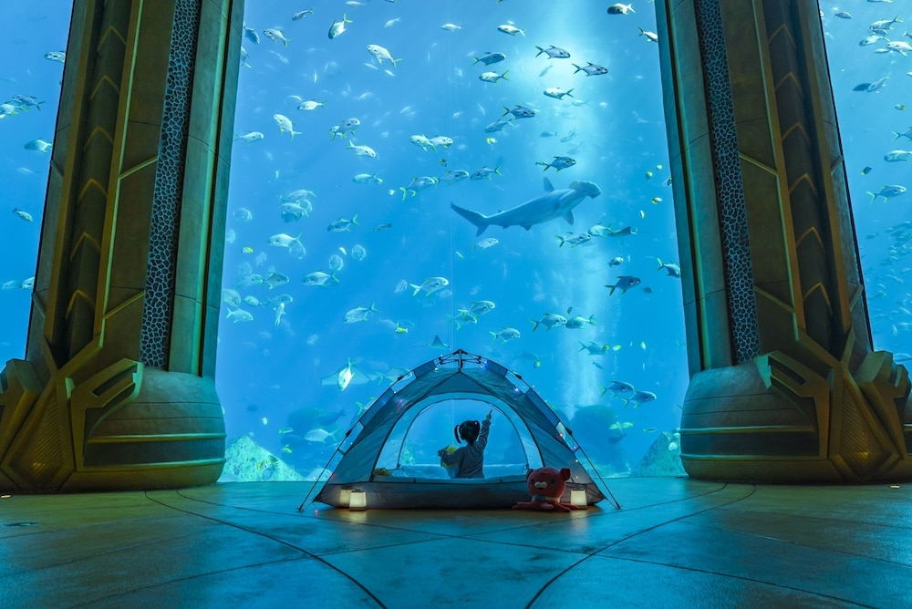 어린이 즐길거리