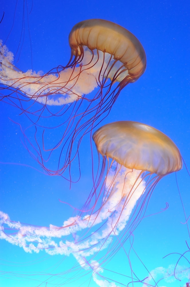 숙박 시설의 전망