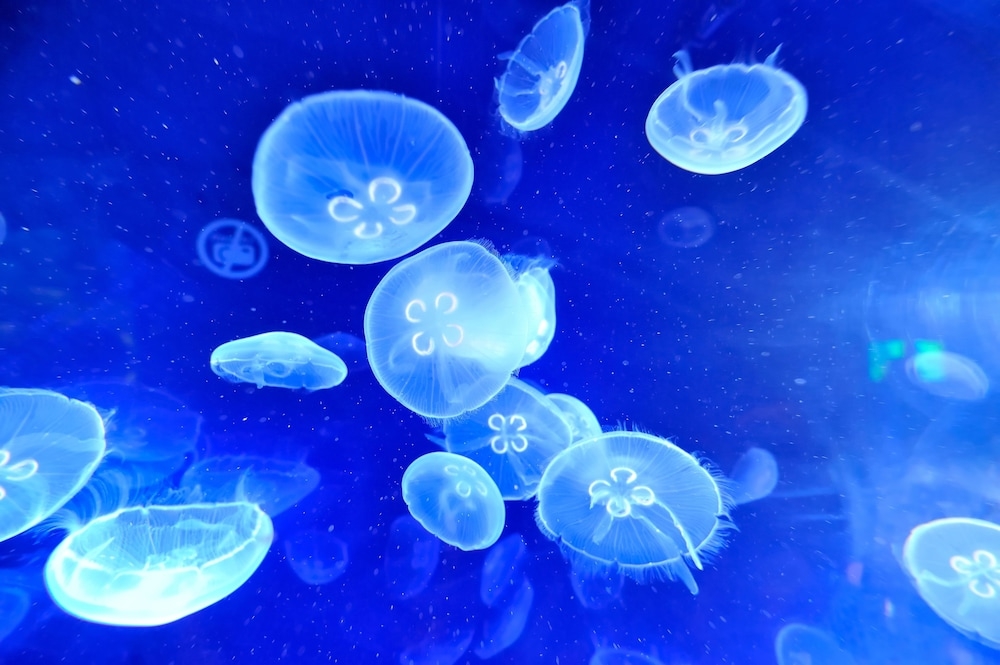 숙박 시설의 전망