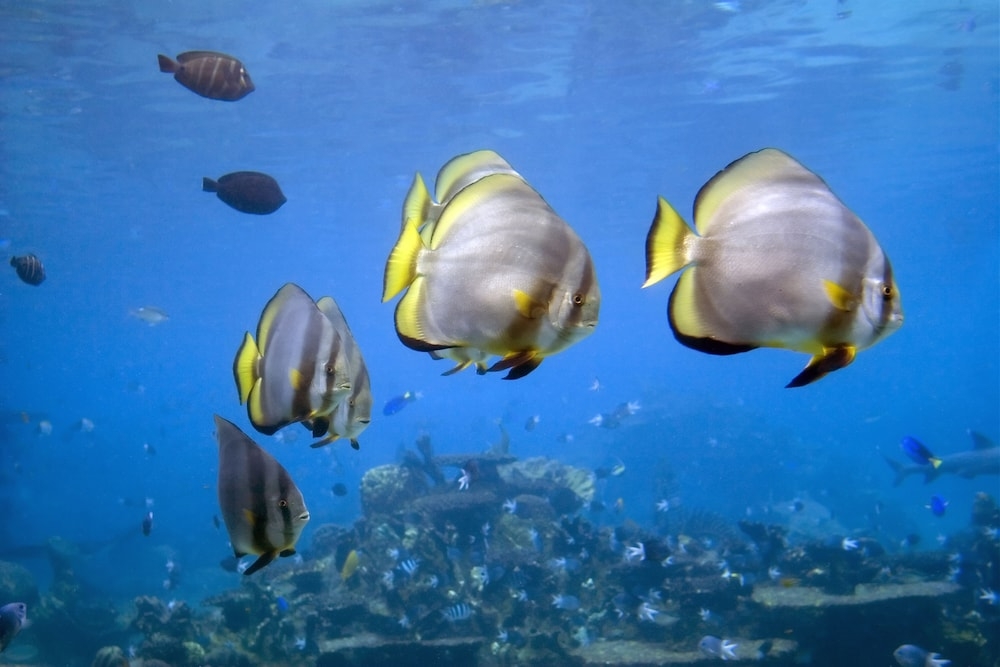 숙박 시설의 전망