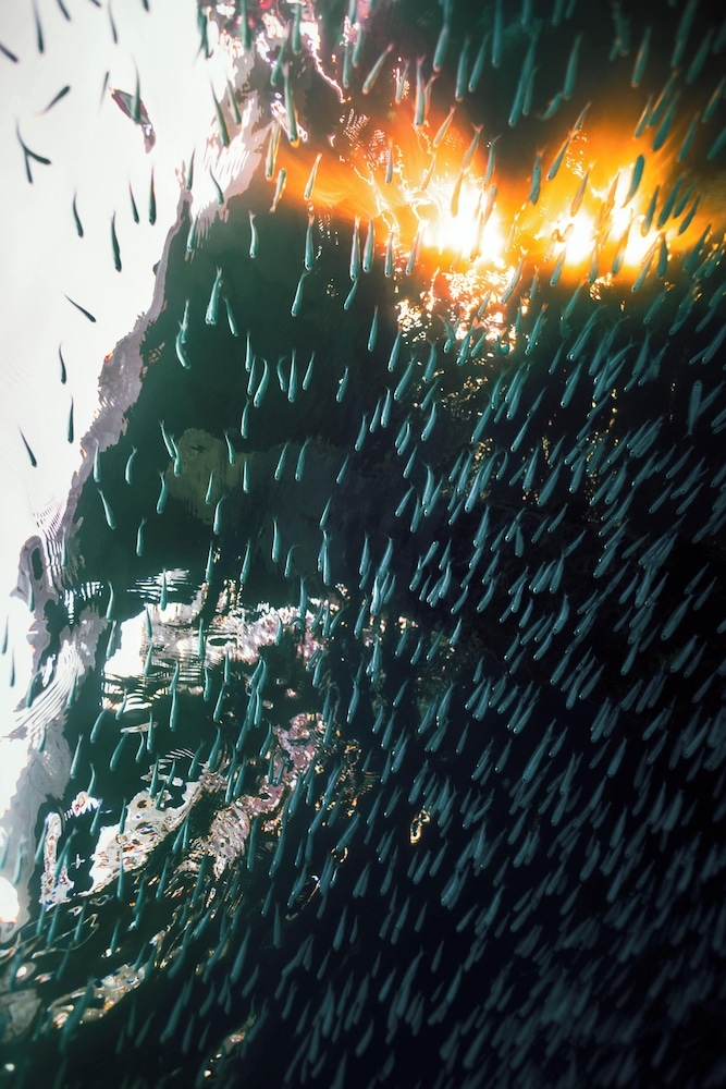 숙박 시설의 전망