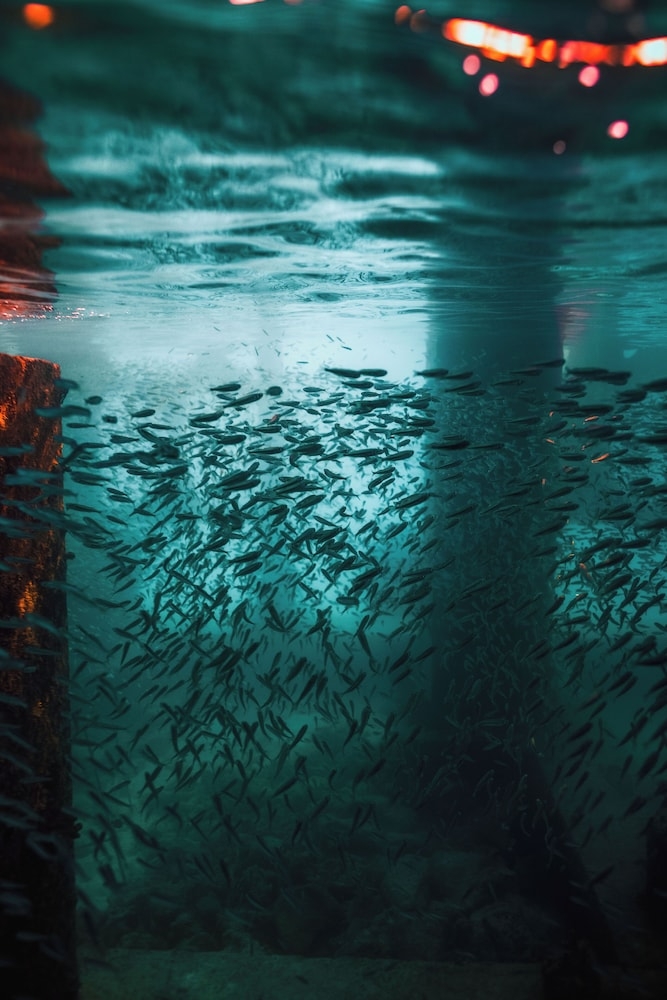 숙박 시설의 전망