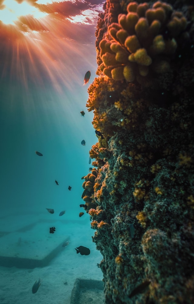 숙박 시설의 전망