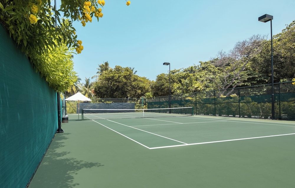 테니스 코트