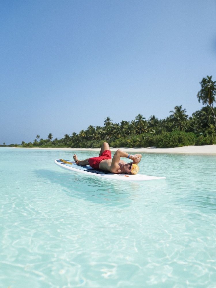 서핑/부기 보드