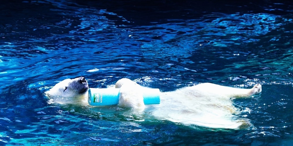 숙박 시설에서 보는 주변 전망