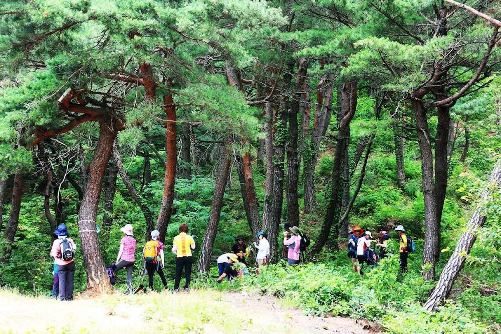 BBQ/피크닉 공간
