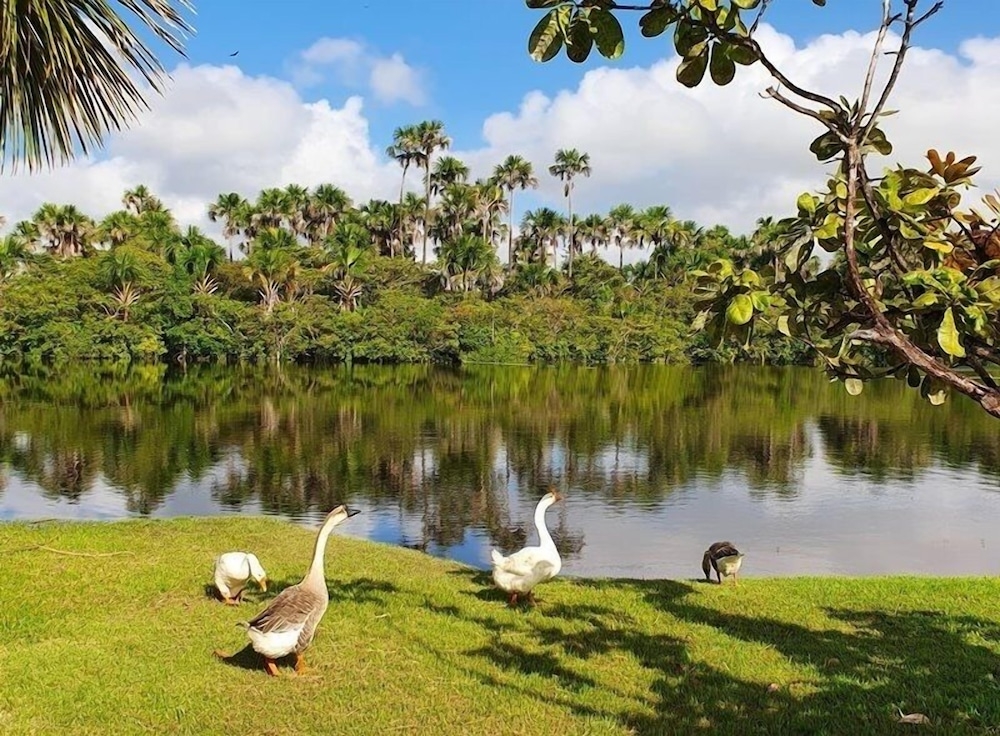 숙박 시설 구내