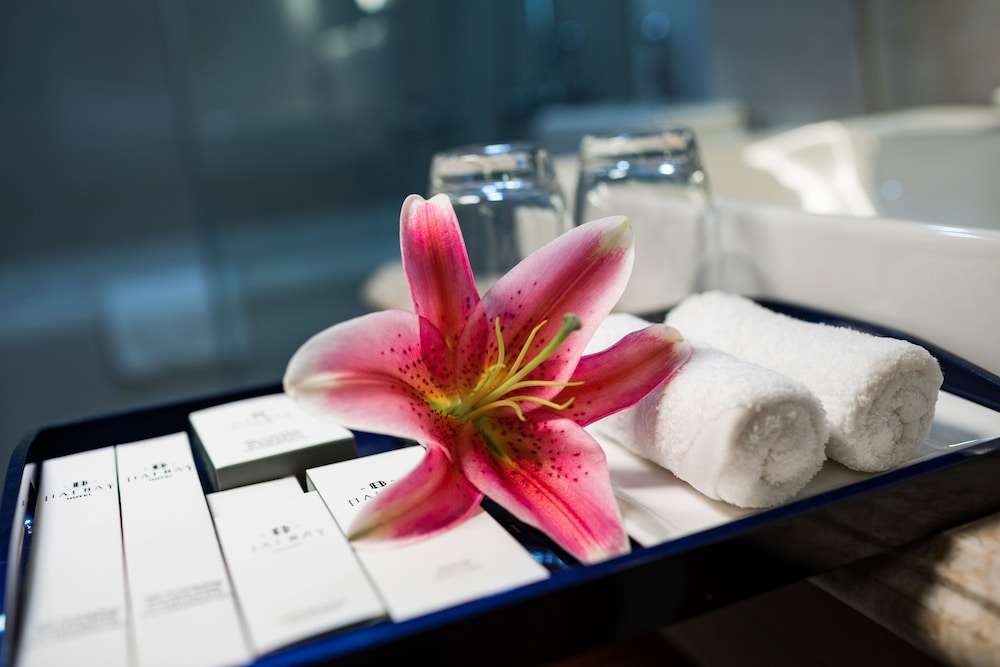 욕실 편의 시설