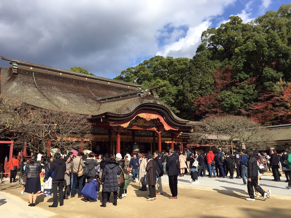 숙박 시설에서 보는 시내 전망