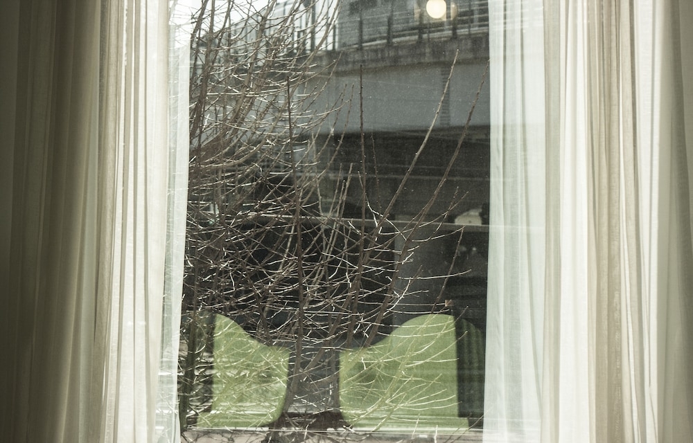 객실에서 보이는 전망