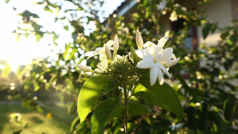 숙박 시설의 전망
