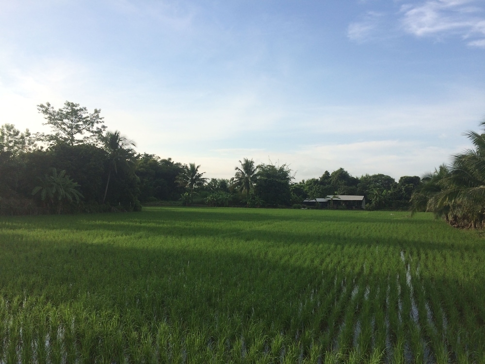 숙박 시설의 전망