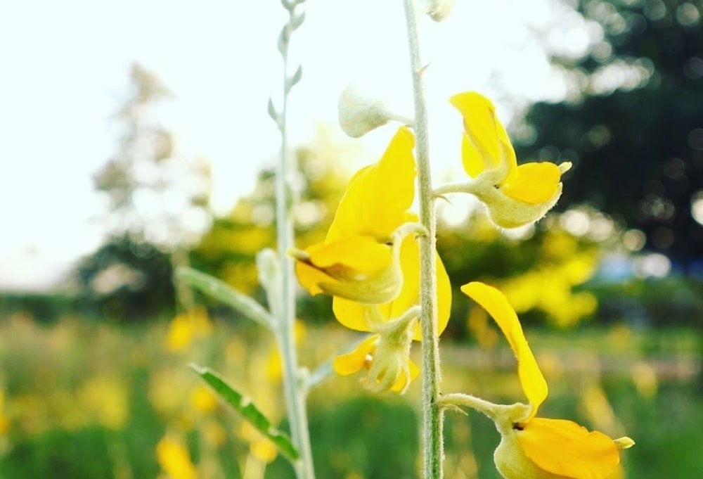 숙박 시설의 전망