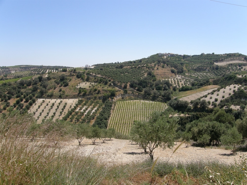 숙박 시설의 전망