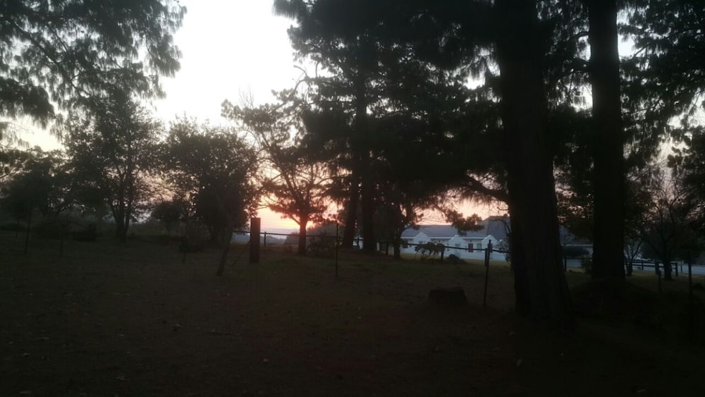 숙박 시설 구내