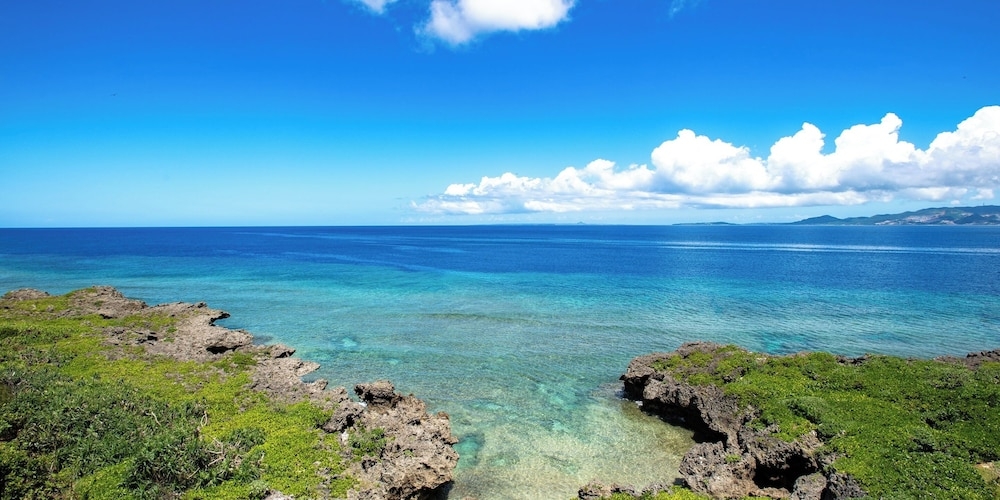 객실에서 보이는 전망