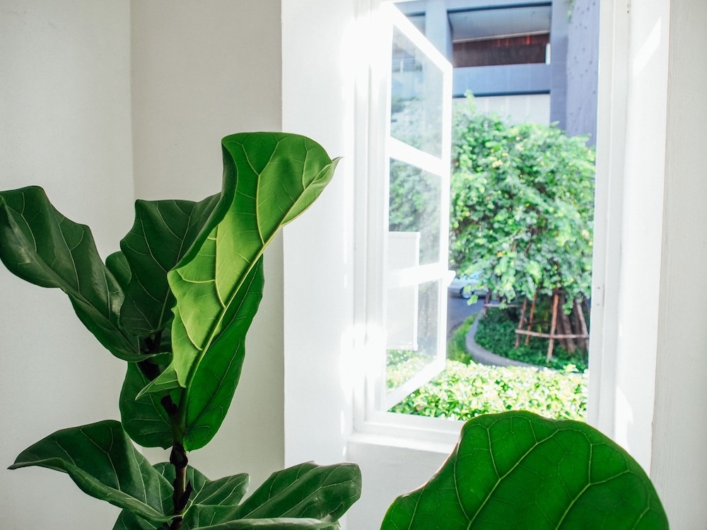 숙박 시설의 전망