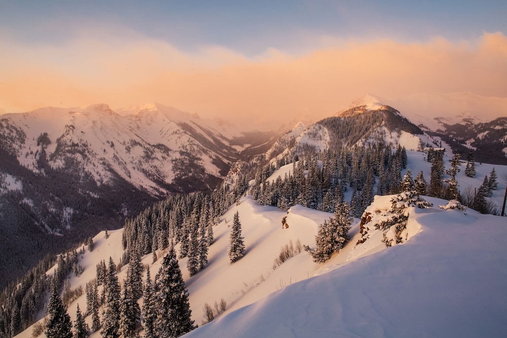 BBQ/피크닉 공간