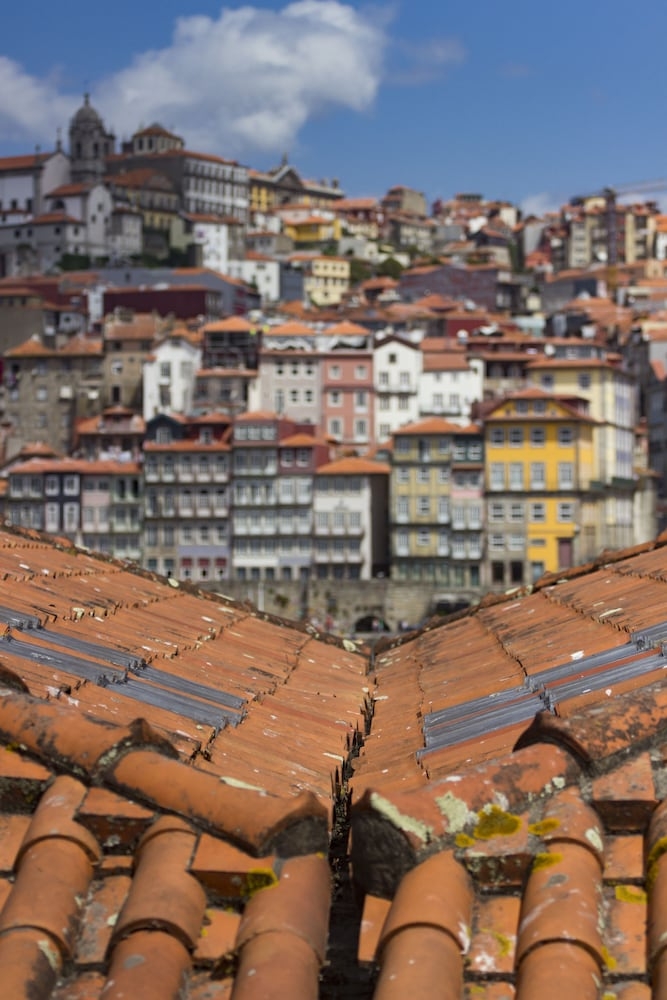 숙박 시설의 전망