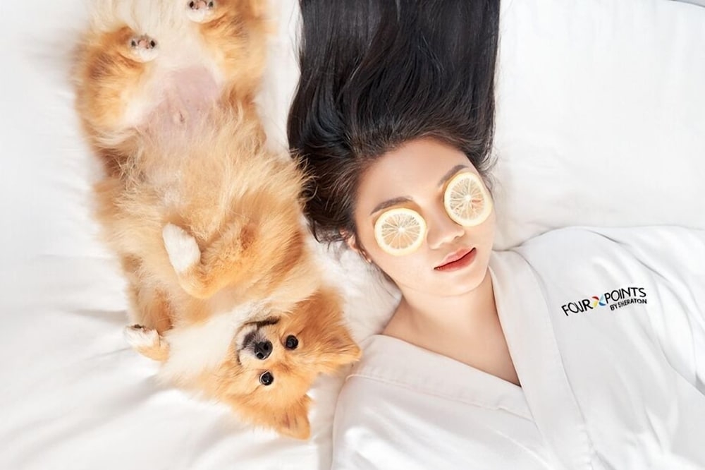 반려동물 동반 가능