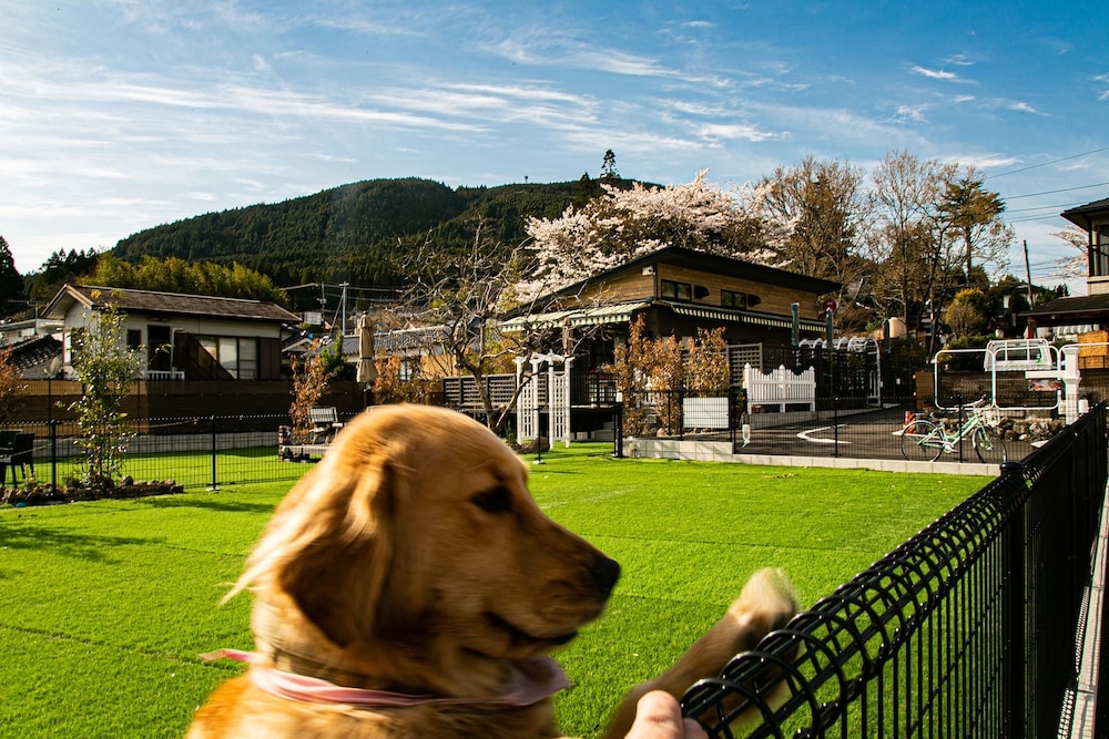 반려동물 동반 편의 시설