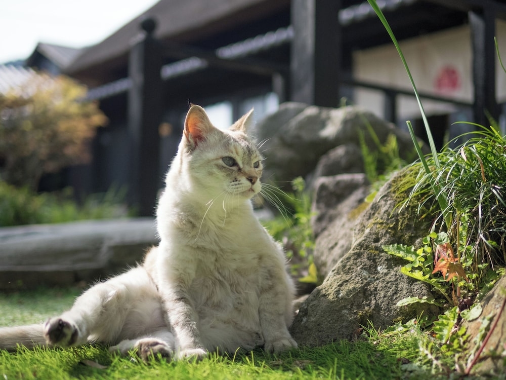 숙박 시설 구내