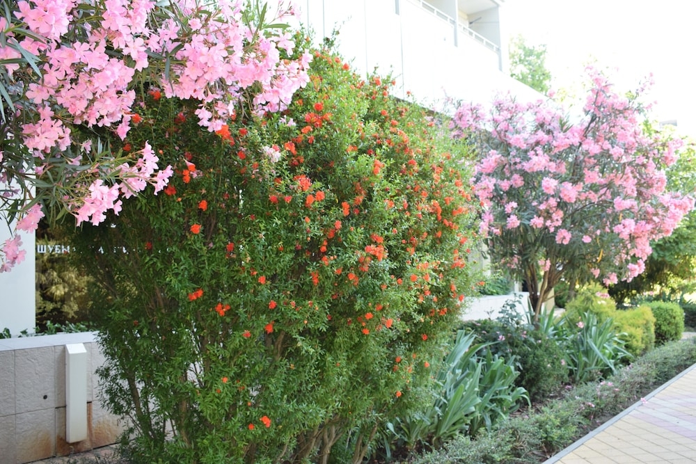 숙박 시설 구내