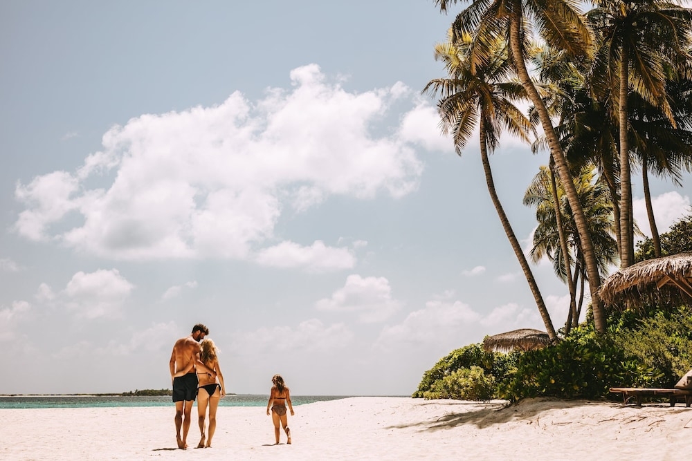 BBQ/피크닉 공간