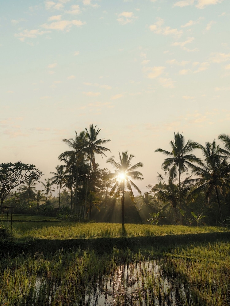 BBQ/피크닉 공간