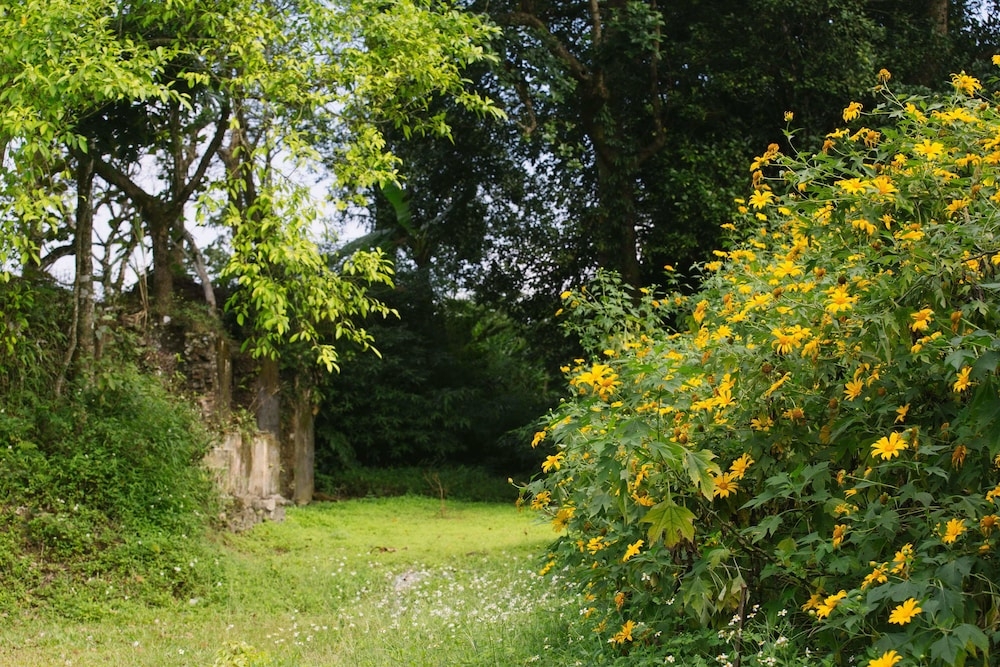 숙박 시설의 전망