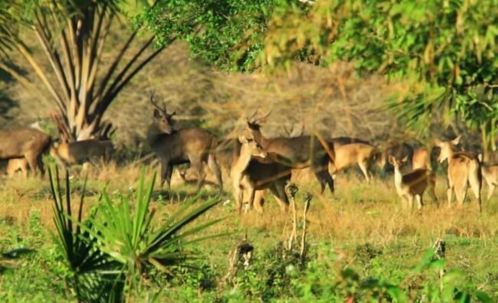 숙박 시설 구내