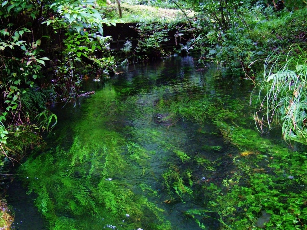 숙박 시설 구내