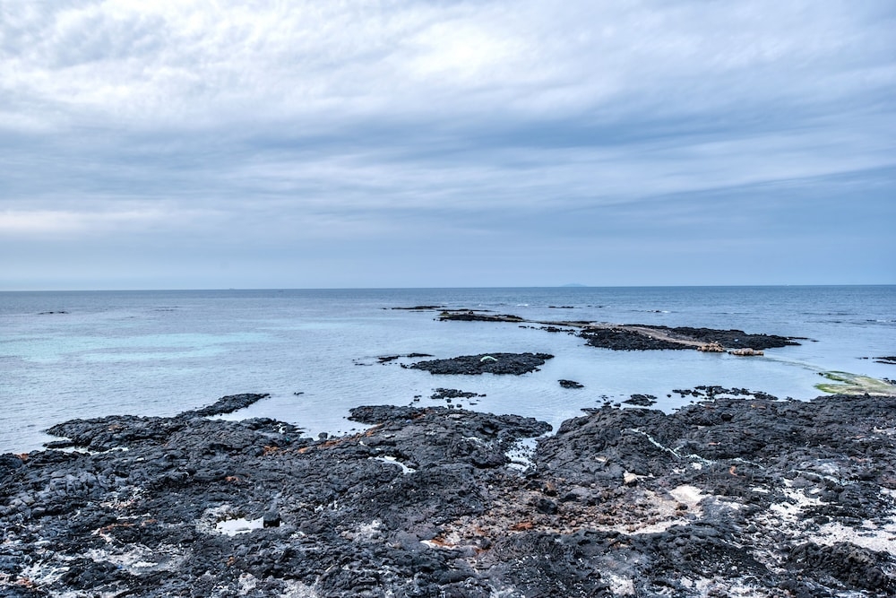해변/바다 전망