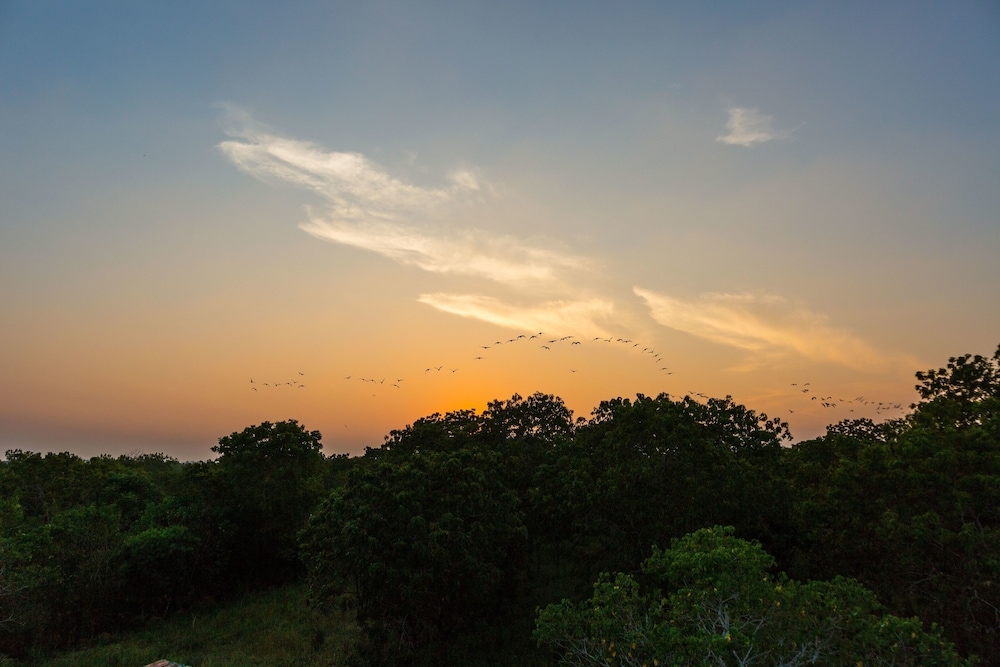 숙박 시설의 전망