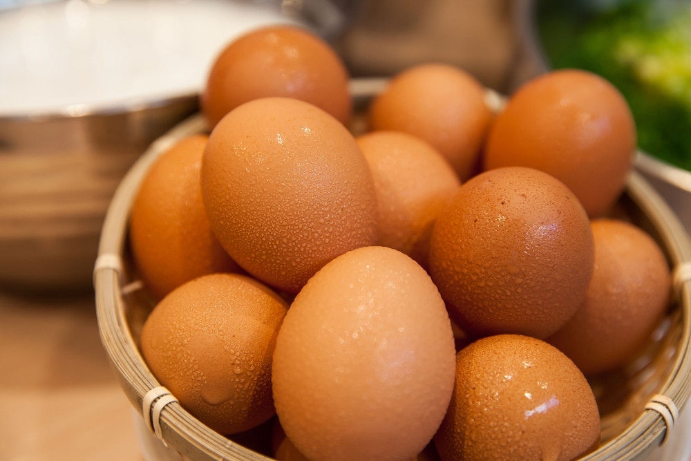 뷔페 아침 식사