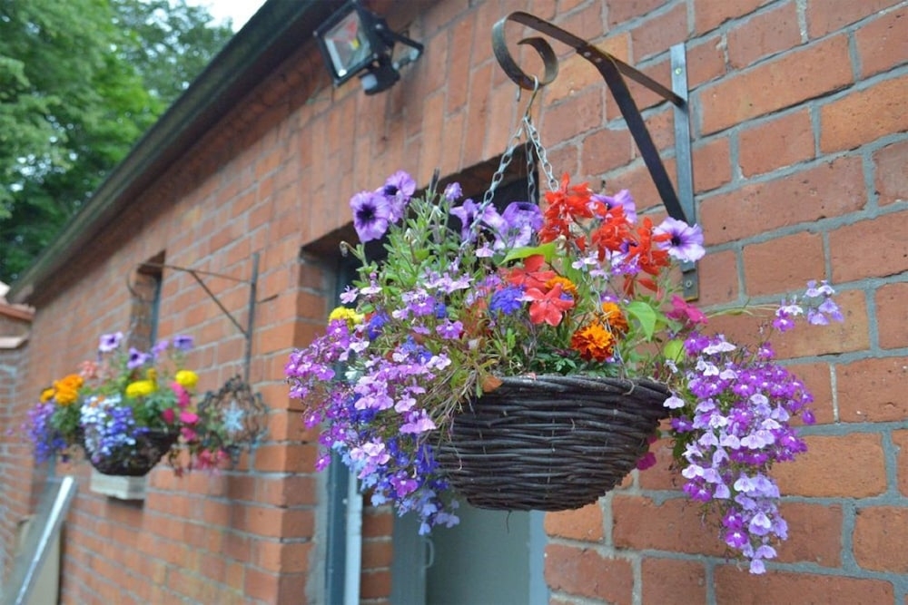 외부 세부 사진