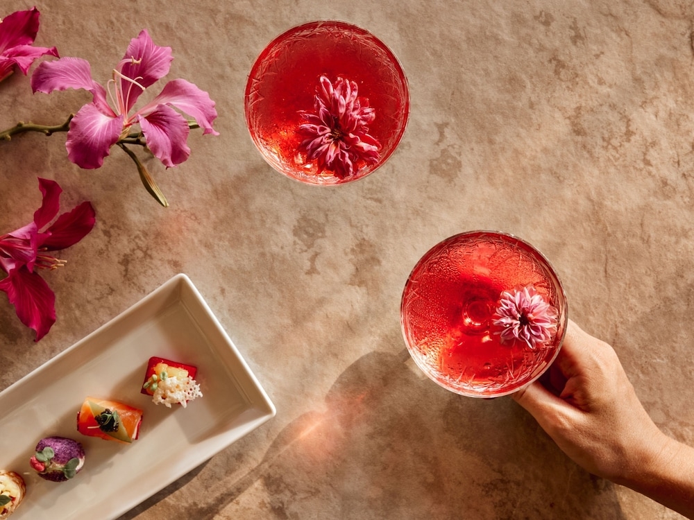 바(숙박 시설 내)