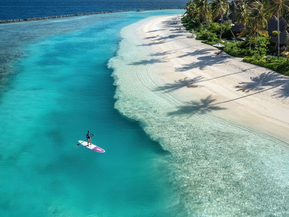 서핑/부기 보드