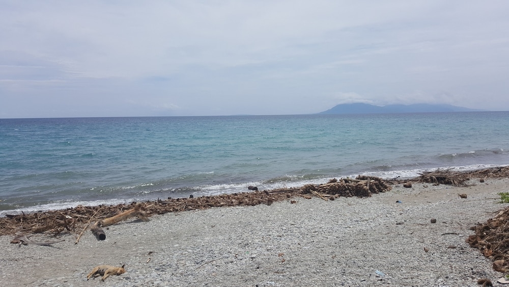 숙박 시설의 전망