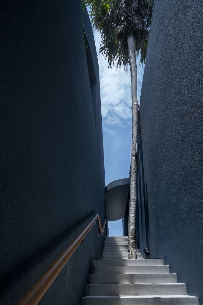 외부 세부 사진