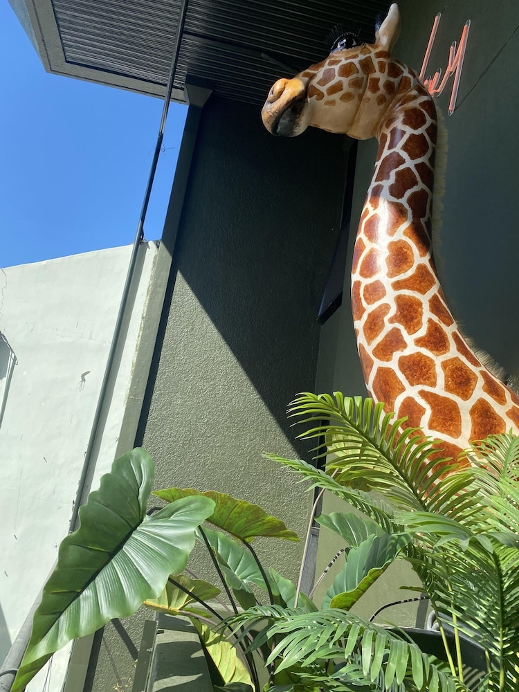 숙박 시설 정면